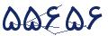 cp-codfk