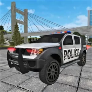 Miami Crime Police + Mod