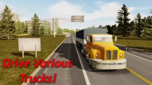 Heavy Truck Simulator + Mod