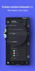 Discord + Mod