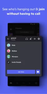 Discord + Mod