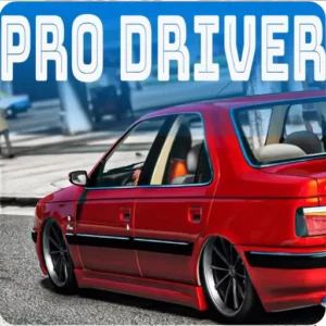 Pro Driver + Mod