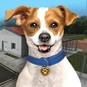 Animal Shelter Simulator + Mod