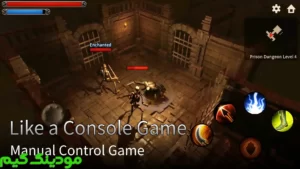 Warrior In Dungeon + Mod