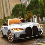 Driving School Simulator : EVO + Mod