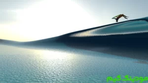 YouRiding - Surf and Bodyboard + Mod