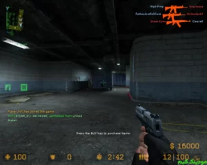 Counter Strike: Source