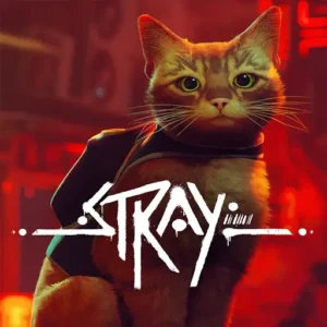 Stray + Mod