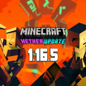 Minecraft 1.16 + Mod