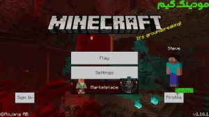 Minecraft 1.16 + Mod