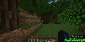 Minecraft 1.13 + Mod