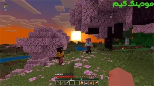 Minecraft 1.15 + Mod