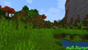 Minecraft 1.17 + Mod