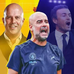 Football Manager 2025 : Lige Herfei + Mod