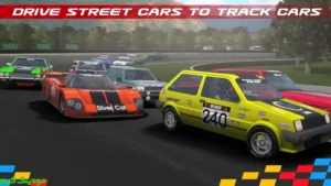 Circuit Racing + Mod