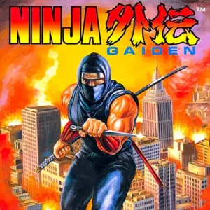 Ninja Gaiden + Mod