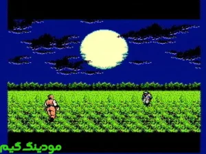 Ninja Gaiden + Mod