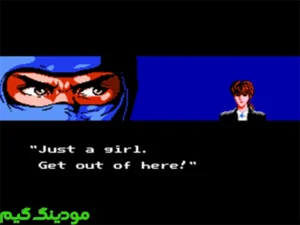 Ninja Gaiden + Mod