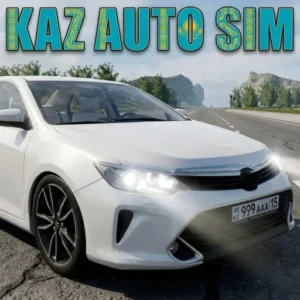 KAZ Auto Sim + Mod
