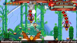 Freedom Planet 2