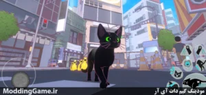 Little Kitty, Big City