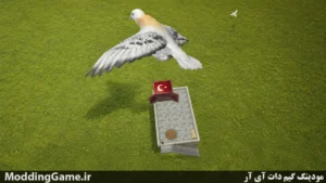 Pigeon Paradise
